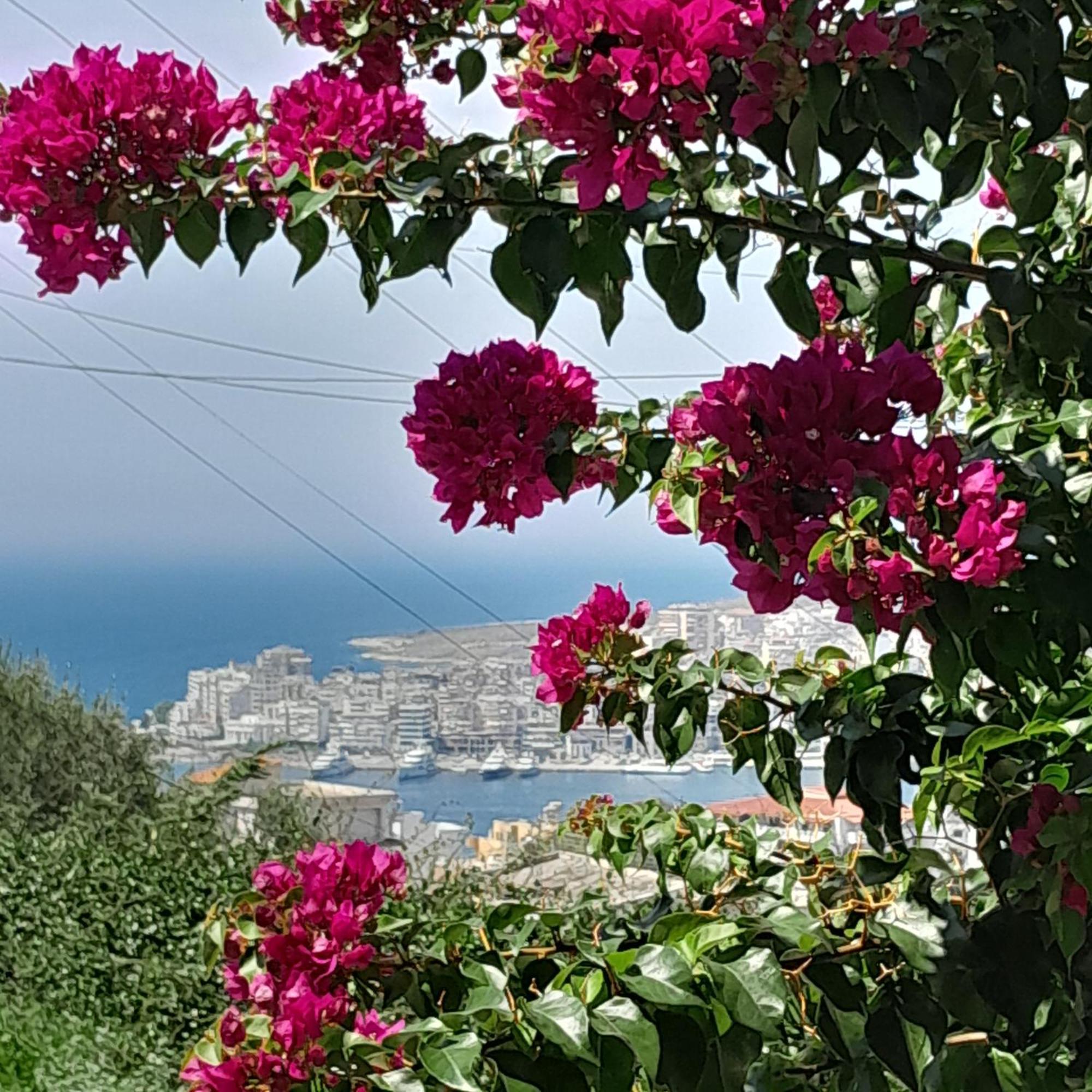 Luxury Dennis Home Sarandë エクステリア 写真