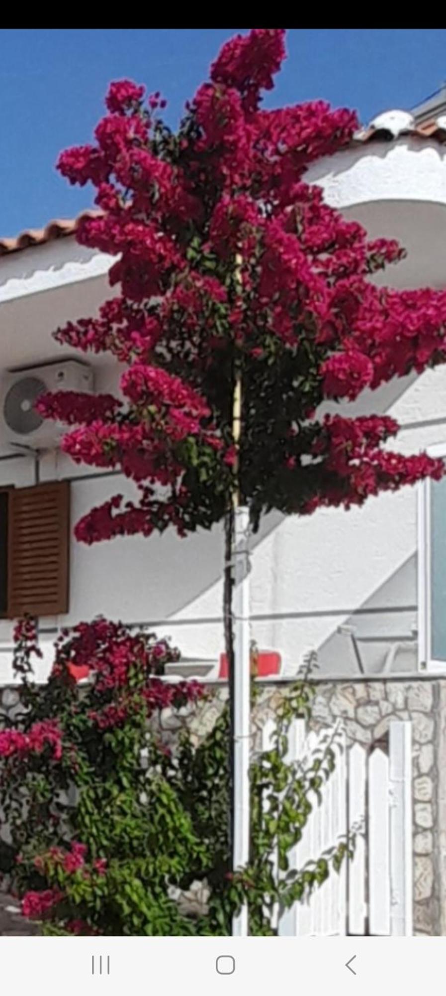 Luxury Dennis Home Sarandë エクステリア 写真
