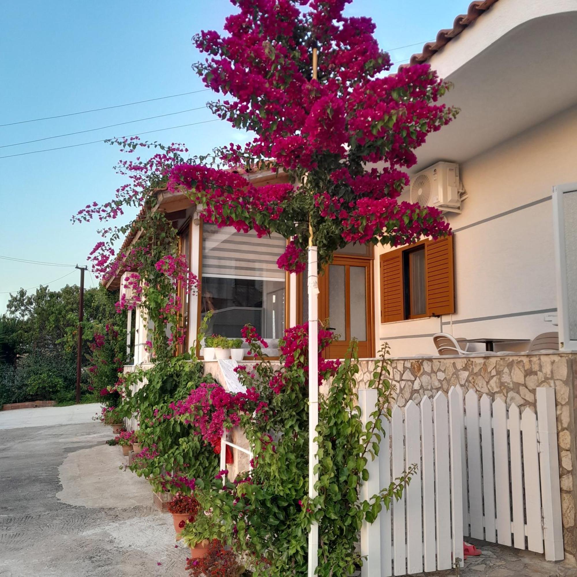 Luxury Dennis Home Sarandë エクステリア 写真